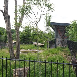 Part of the separate giant anteater exhibit, 2022-05-17