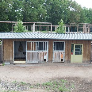 Vicuña, South American rodent and parrot house, 2022-05-17