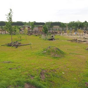 South American exhibit, 2022-05-17