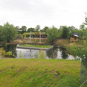South American exhibit with new floating island for future spider monkey exhibit, 2022-05-17