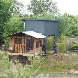 Future spider monkey house and outdoor cage,2022-05-17