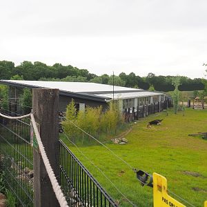 South American House, 2022-05-17