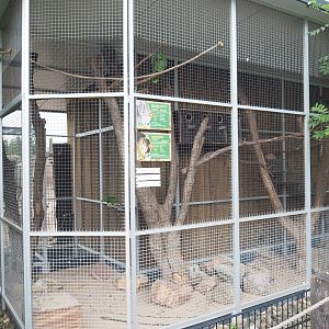 Chacoan mara and Rock cavy exhibit, At the time of my visit (also) home to Amazon parrots, 2022-05-17