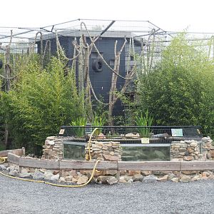 Binturong exhibit and Alligator snapping turtle pool undergoing maintenance, 2022-05-17