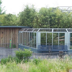 Dark cusimanse exhibit, 2022-05-17