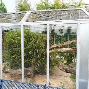 Dark cusimanse exhibit, 2022-05-17