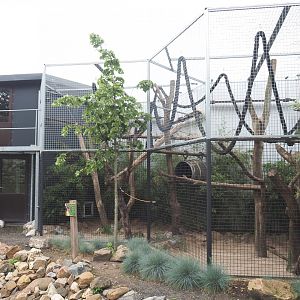 Northern yellow-throated marten exhibit, 2022-05-17