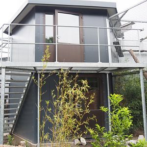 Northern yellow-throated marten and Pallas's cat house, 2022-05-17