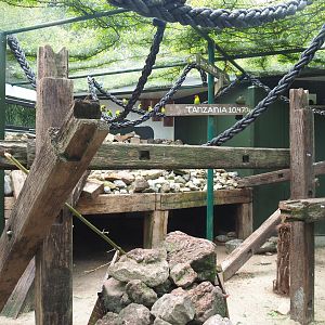 Birds and Yellow-spotted rock hyrax exhibit, 2022-05-17