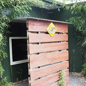 Birds and Yellow-spotted rock hyrax indoor exhibit viewing area, 2022-05-17