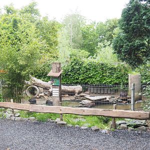 Nutria exhibit, 2022-05-17