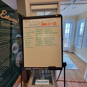 Dupont NC - Birds around the NC this week