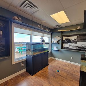 Dupont NC - Corner exhibits