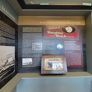 Dupont NC - History of the beach