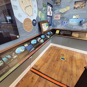 Dupont NC - Horseshoe crab info, history of the world during their existence