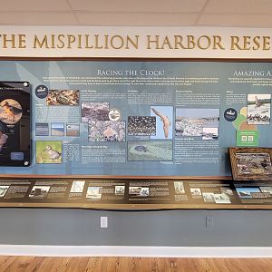 Dupont NC - Migration