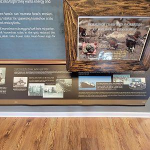 Dupont NC - Most recent history