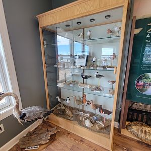 Dupont NC - Shorebird carvings