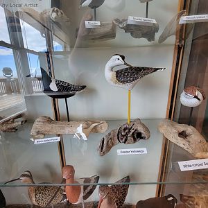 Dupont NC - Shorebird carvings