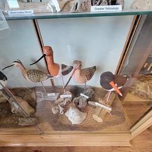 Dupont NC - Shorebird carvings