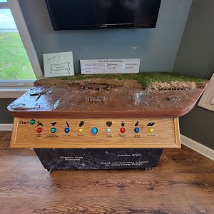 Dupont NC - Parts of the living shoreline