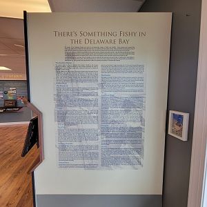 Dupont NC - Fish of the Delaware Bay