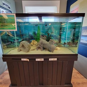 Dupont NC - Artifical Reef tank