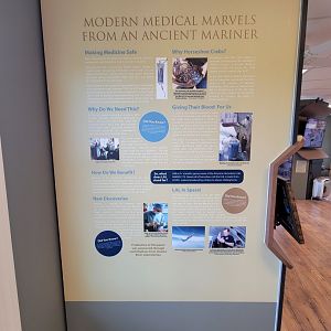 Dupont NC - Medicines made from horseshoe crabs