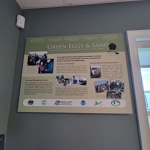 Dupont NC - Horseshoe crab education project