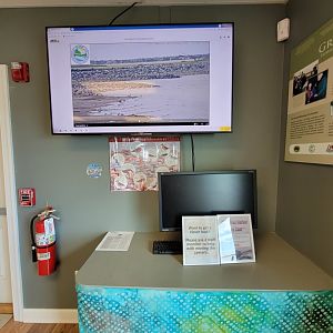 Dupont NC - Cam view of the nearby harbor