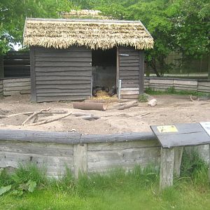 Odsherred Zoo - Porcupine exhibit