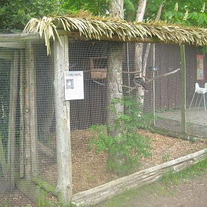 Odsherred Zoo - Kookaburra aviary