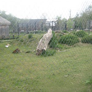 Odsherred Zoo - Wallaby/tortoise exhibit