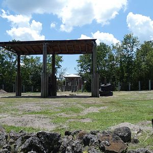 African Elephant Yard, Africa Loop - June 2022
