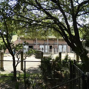 Elephant Holding Yards + Building, Africa Loop - June 2022