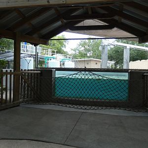 Manatee Critical Care Center, Wild Florida - June 2022