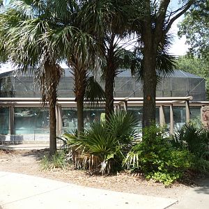 Magellanic Penguin Exhibit Construction ("Tuxedo Coast"), Play Park - June 2022