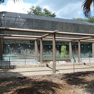Magellanic Penguin Exhibit Construction ("Tuxedo Coast"), Play Park - June 2022