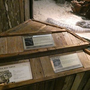 Incorrect Signage (New Species?), Wild Florida - June 2022