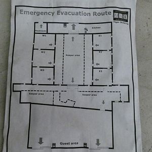 Map of the Backstage Tiger Area, Asia: Land of the Tiger - June 2022