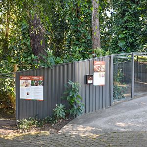 Lumholtz's Tree-Kangaroo Enclosure