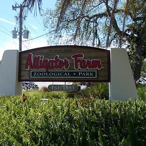 St. Augustine Alligator Farm Entrance Sign - June 2022