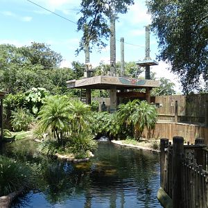 Oasis on the Nile (Nile Crocodile Exhibit) - June 2022