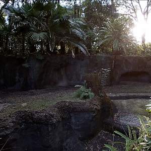 Does anyone know what was once exhibited here? (Disney's Animal Kingdom)