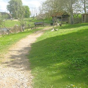 Sagnlandet Lejre - Goat exhibit