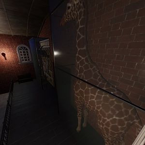 Giraffe Barn Upper View