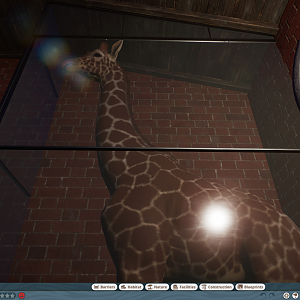 Giraffe Barn Mounted Giraffe