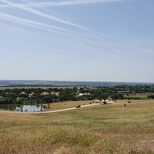 Deer, Emu, Ostrich, and Nilgai Reserve at Safari Madrid, 19th May 2022