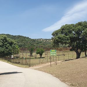 Tiger Enclosures at Safari Madrid, 19th May 2022