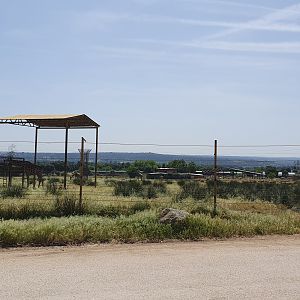 Giraffe Paddock at Safari Madrid, 19th May 2022